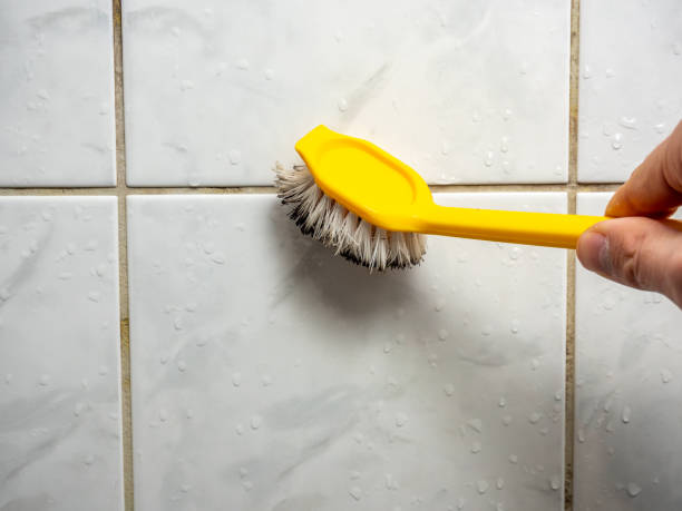 Best Mold Testing  in Bronte, TX