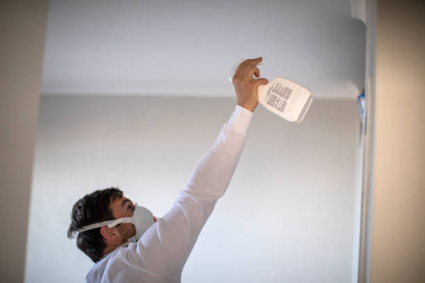 Best Black Mold Removal  in Bronte, TX